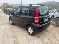 usata Fiat Panda 1.2 Dynamic