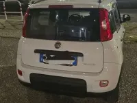 Usata Fiat Panda Cross Cross 69 CV (50 kW) 2022 Utilitaria
