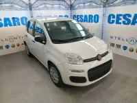 Nuova Fiat Panda Pop 65 CV (47 kW) 2026 Bianco gelato (pastello) Utilitaria