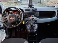 Usata Fiat Panda Lounge 80 CV (58 kW) 2022 Bianco Utilitaria
