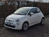 Usata Fiat 500 Lounge 69 CV (50 kW) 2020 Utilitaria