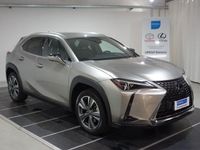 usata Lexus UX 200 300e Luxury