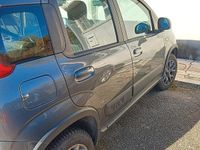 Usata Fiat Panda 4x4 85 CV (62 kW) 2019 Grigio Utilitaria