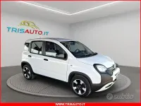 Usata Fiat Panda Cross Cross 70 CV (51 kW) 2023 Bianco Utilitaria