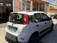 Usata Fiat Panda City Life 69 CV (50 kW) 2022 Utilitaria