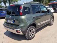 Usata Fiat Panda Cross Cross 80 CV (58 kW) 2015 Verde Utilitaria