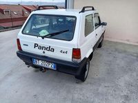 Usata Fiat Panda 4x4 Trekking 54 CV (39 kW) 2002 Utilitaria