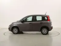 Usata Fiat Panda Easy 69 CV (50 kW) 2021 Antracite Utilitaria