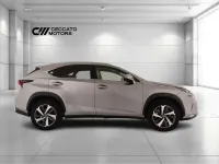 Usata Lexus NX300h Luxury Line 197 CV (144 kW) 2018 Grigio SUV