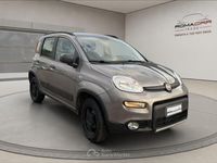 Usata Fiat Panda 4x4 S 86 CV (63 kW) 2020 Grigio Utilitaria