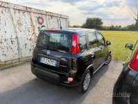 Usata Fiat Panda S 69 CV (50 kW) 2023 Nero Utilitaria