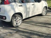 Usata Fiat Panda Lounge 80 CV (58 kW) 2015 Utilitaria