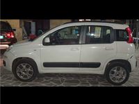 Usata Fiat Panda 85 CV (62 kW) 2015 Marrone Utilitaria