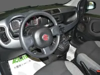 Usata Fiat Panda 70 CV (51 kW) 2022 Grigio Utilitaria