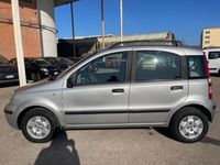 usata Fiat Panda 1.2 Alessi usato