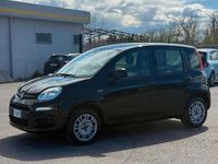 Usata Fiat Panda Lounge 69 CV (50 kW) 2020 Nero Utilitaria