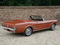 Usata Ford Mustang 228 CV (167 kW) 1966 Marrone Cabrio