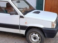 usata Fiat Panda 4x4 1000 i.e. cat 4x4 Trekking