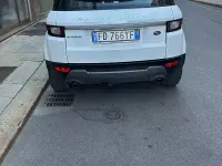 Usata Land Rover Range Rover evoque 150 CV (110 kW) 2016 Bianco SUV