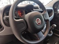 usata Fiat Panda Cross 1.0 FireFly S&S Hybrid