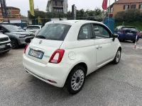 Usata Fiat 500 Dolcevita 69 CV (50 kW) 2024 Bianco Utilitaria