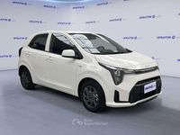 Nuova Kia Picanto Urban 63 CV (46 kW) 2025 Clear white  vernice pastello Utilitaria