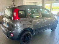 Occasion Fiat Panda 4x4 Wild 85 ch (62 kW) 2021 Gris Citadine