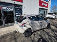Usata Lancia Ypsilon Gold 69 CV (50 kW) 2016 Beige Utilitaria