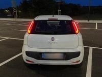 usata Fiat Punto Evo 1.2