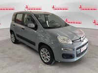 Usata Fiat Panda Easy 69 CV (50 kW) 2020 Grigio Utilitaria