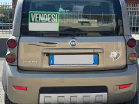 Usata Fiat Panda 4x4 69 CV (50 kW) 2006 Marrone Utilitaria