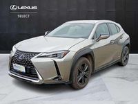 Usata Lexus UX 250h Executive Line 184 CV (135 kW) 2022 Grigio SUV