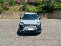 Usata Fiat Panda Cross Cross 69 CV (50 kW) 2021 Grigio Utilitaria