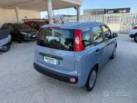 Usata Fiat Panda Easy 68 CV (50 kW) 2018 Grigio Utilitaria