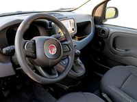 Nuova Fiat Panda Icon 70 CV (51 kW) 2025 Giallo Utilitaria