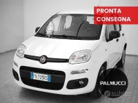 Usata Fiat Panda Easy 69 CV (50 kW) 2019 Bianco Utilitaria