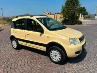 Usata Fiat Panda 4x4 Climbing 60 CV (44 kW) 2004 Giallo Utilitaria