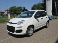 Nuova Fiat Panda Icon 65 CV (47 kW) 2026 Bianco Utilitaria