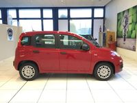 Nuova Fiat Panda Pop 65 CV (47 kW) 2026 Rosso Berlina