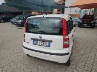 Usata Fiat Panda 54 CV (39 kW) 2004 Bianco Utilitaria
