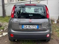 Usata Fiat Panda S 70 CV (51 kW) 2021 Grigio Utilitaria