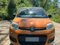 Usata Fiat Panda 69 CV (50 kW) 2018 Utilitaria