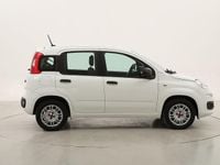 Usata Fiat Panda Easy 69 CV (50 kW) 2020 Utilitaria