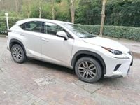 Usata Lexus NX300h Executive Line 155 CV (114 kW) 2020 Bianco SUV