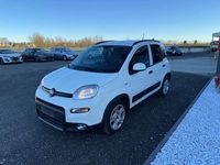 Usata Fiat Panda Cross Cross 69 CV (50 kW) 2022 Bianco Utilitaria