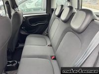 Usata Fiat Panda Cross Cross 70 CV (51 kW) 2023 Grigio Utilitaria