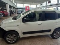 usata Fiat Panda 4x4 1.3 MJT 95 CV S&S Pop Van 2 posti