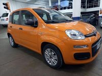 usata Fiat Panda 1.2 Easy