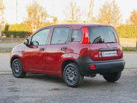 usata Fiat Panda 1.3 MJT S&S VAN 2 POSTI