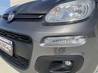 Usata Fiat Panda S 69 CV (50 kW) 2022 Grigio Utilitaria